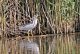 DSC_7069.thumb.JPG.437407bc45f66dff2d831a5b6badb3d3.JPG