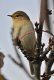 DSC_7321.thumb.JPG.13f5f4132994e6477154f5ca07d21d07.JPG