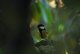 DSC_7527.thumb.JPG.3c87aab480229e71fb6081015181fff8.JPG