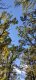 IMG_20211023_123719.thumb.jpg.4f67c14bc7510b50403b2dcef03d82b9.jpg