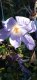 IMG_20211024_132443.jpg