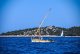 DSC_0784.jpg