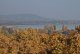 DSC_6272.thumb.JPG.b5d8c5eb78b74a6bea030f52b9b256b2.JPG
