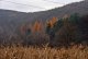 _DSC6057.thumb.JPG.924db1e0c91de64f8f2f3ef807c366a1.JPG