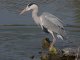 DSC_0385.thumb.JPG.103961317a16c51bffdcf8c53c0e098f.JPG