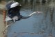 DSC_0447.thumb.JPG.abdd8cee162757369e306e7b545bea19.JPG