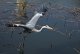 DSC_0491.thumb.JPG.dfa955ce4c4f92106dbc6808573af76e.JPG