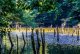 DSC_0066.jpg