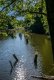DSC_0093.jpg