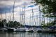 DSC_0463.jpg