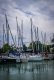 DSC_0464.jpg