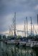 DSC_0472.jpg