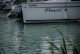 DSC_0473.jpg