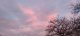 IMG_20220116_163435.jpg