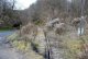 _DSC6059.thumb.JPG.303c8034a46b54d9e97d9630b4ef0b83.JPG