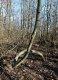 20220312_145756.jpg